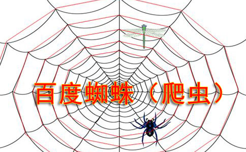 解鎖網(wǎng)站高效發(fā)展的關(guān)鍵密碼